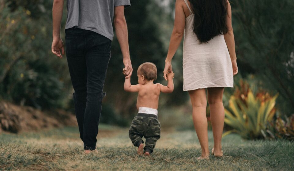 whole-family support for domestic violence and abuse