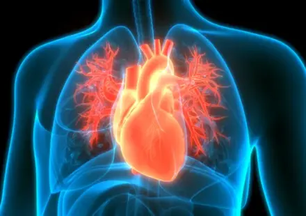 ARPA-H to invest $62M to build agentic AI agent for heart care