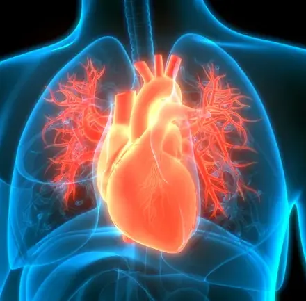 ARPA-H to invest $62M to build agentic AI agent for heart care