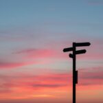 Where do we go from here? Research priorities for metabolic interventions in severe mental illness