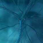 Understanding cognitive restructuring in PTSD